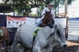 Pastor Isidório ‘joga duro’ e ganha de Secretário Tum no Ranch Sorting