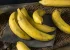 Como evitar que as bananas fiquem pretas? 5 dicas para aproveitar ao máximo a banana