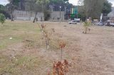 O antes verde campus da UFPE está cada dia mais seco. Situação triste!