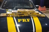 PRF apreende mais de 14 kg de cocaína em ônibus no Piauí