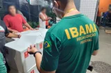 Concurso do Ibama oferece 460 vagas, com salário inicial de R$ 9.994