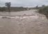 Chuva em Uauá e Canudos traz de volta a alegria e emoção para o sertanejo; vídeo