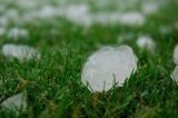 Chuva de granizo surpreende moradores da Pedra, no Agreste do Estado