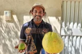 Agricultor colhe laranja gigante de 3 kg em Floresta, no Sertão de Pernambuco