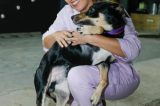 Um ano do cachorro Magno
