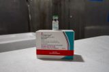 Vacina da dengue: imunizante do Butantan pode ter 1 milhão de doses prontas ainda este ano