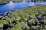 Pesquisa com bactérias na Amazônia pode desenvolver novos medicamentos