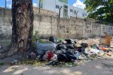 Bebê abandonada no Recife foi encontrada em área que tem ratos e escorpiões