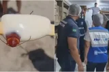 Barata no picolé! Fábrica é fechada e pode ser multada em R$13 milhões