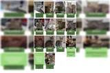 Homem é investigado por realizar experimentos macabros e rituais com gatos