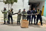 Sucuri de quase 5 metros é capturada em cidade da Bahia