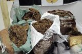 Ex-detento em liberdade é preso com drogas no interior da Bahia