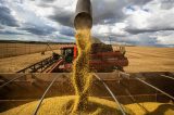 Guerra ao agro do Brasil? Por que Mr. Trump?
