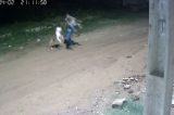 Pitbull ataca criança de cinco anos em Serra Talhada, no Sertão de Pernambuco
