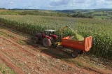 Cidade baiana é uma das melhores do país para investir em Agropecuária Cidade baiana é uma das melhores do país para investir em Agropecuária