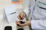 Pesquisadores da UFPE criam cápsulas nutritivas para sementes a partir de resíduos do jeans