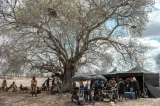 Globo escolhe duas cidades baianas para nova novela; saiba mais