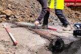 Cano de madeira romano é descoberto sob cidade belga