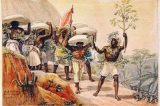 A produção e transporte do café no Brasil colonial