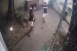 “Atuou em legítima defesa”, diz Adeppe sobre delegado que atirou em jovem em Fernando de Noronha