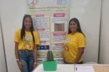 Estudantes de colégio de Andorinha transformam cacto da Caatinga em bioplástico