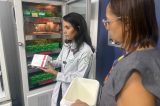 Pernambuco aplica medicamento de R$ 7 milhões em bebê de seis meses com AME