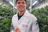 Anvisa encerra hoje consulta pública sobre cannabis medicinal