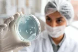Harvard descobre nova causa de câncer que pode surgir em qualquer parte do corpo Harvard descobre nova causa de câncer que pode surgir em qualquer parte do corpo