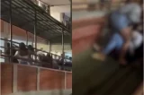 Pai e aluna adolescente agridem estudantes dentro de escola