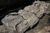 Rara lápide de cavaleiro medieval é descoberta na Polônia
