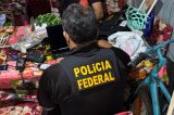 PF cumpre mandados contra crimes referentes ao abuso sexual infantil pela internet em PE PF cumpre mandados contra crimes referentes ao abuso sexual infantil pela internet em PE