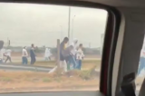 Torcida do Palmeiras sofre tentativa de emboscada a caminho do Rio