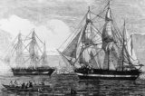 Conheça 5 naufrágios surpreendentes ao redor do mundo e suas histórias