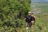 Homem morre após receber facada na cabeça durante discussão por gaiola de passarinho na Bahia