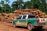 Ibama e PRF apreendem mais de 500 m³ de madeira ilegal no Sertão