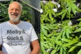 Aos 74 anos, ator de novela da Globo cultiva maconha para consumo próprio: ‘Me salvou’