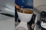 Alunos denunciam cupim, mofo, teto caindo e banheiros quebrados em colégio estadual