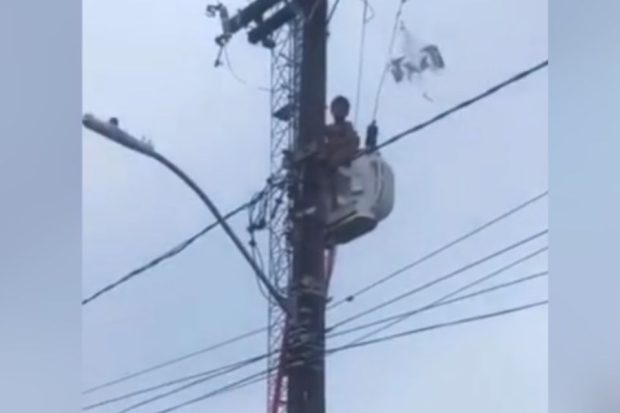 menino no poste