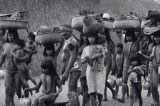 Nossos índios, nossos mortos: livro sobre a causa indígena retorna às livrarias