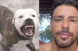 Cantor famoso é condenado após seus pit bulls atacarem Cauã Reyomond; saiba quem Cantor famoso é condenado após seus pit bulls atacarem Cauã Reyomond; saiba quem