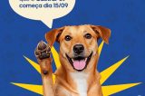 Prefeitura de Juazeiro divulga primeira lista de contemplados para Projeto de Castração de cães e gatos nesta quinta (11)