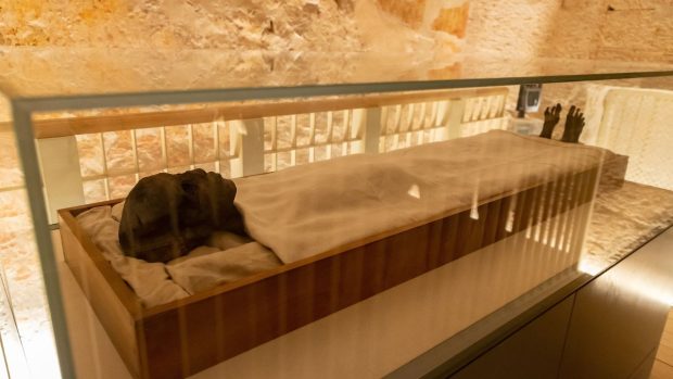 Design-sem-nome-2025-10-14T145500.674