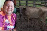 Secretário de prefeitura de cidade baiana é acusado de furtar vaca