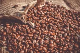 Anvisa proíbe café popular por risco à saúde e falsificação no rótulo