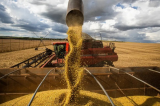 Bahia tem sete municípios entre os 50 maiores produtores agrícolas do Brasil