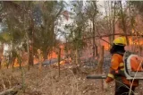 Chapada dos Veadeiros: incêndio atingiu mais de 25 mil hectares