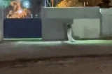 VÍDEO: Mulher vestida de noiva caminha em frente à cemitério e desperta curiosidade