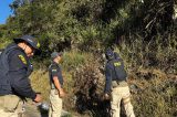 PRF inicia perícia para identificar causas de acidente de ônibus com 17 mortos em Pernambuco