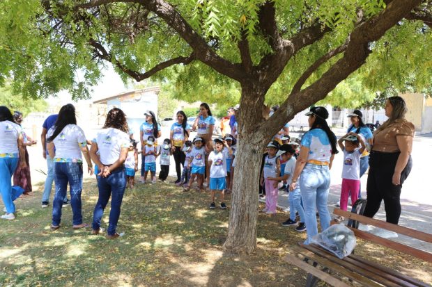 saae ambiente