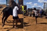Influenciador leva coice durante vaquejada e vídeo viraliza nas redes; assista